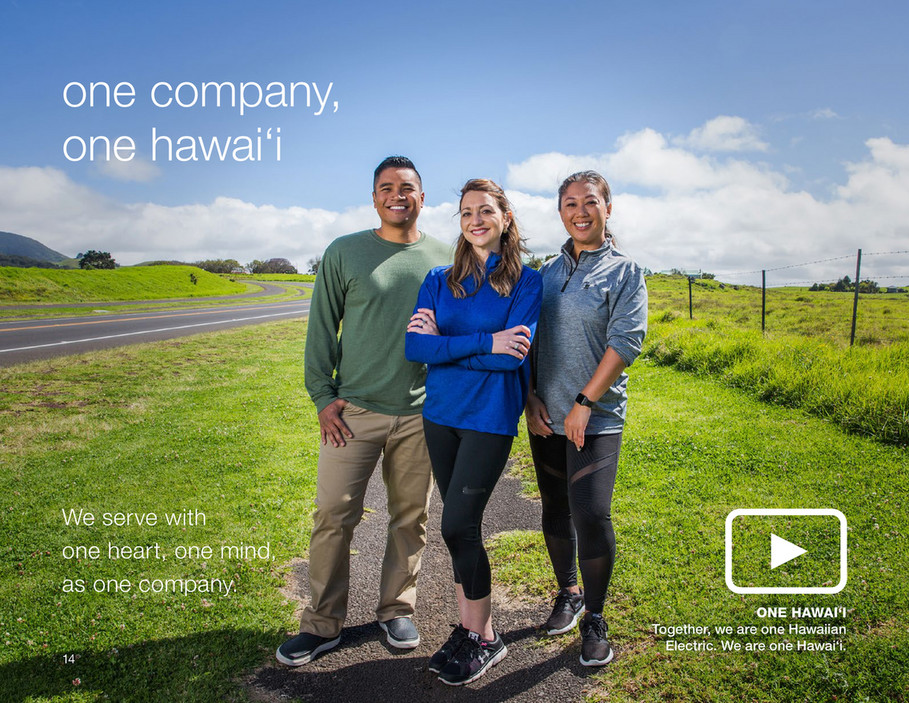 Hawaiian Electric Hawaiian Electric Brand Guidelines Page 16